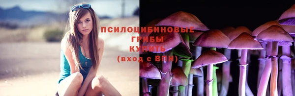 прущий лед Аркадак