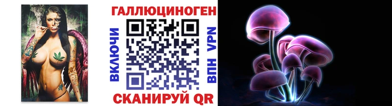 мега ССЫЛКА  Приморск  Галлюциногенные грибы мицелий 